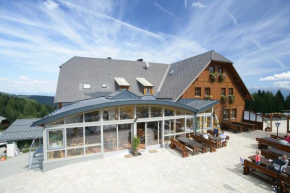 Отель Alpengasthof Sabathyhütte  Обдах